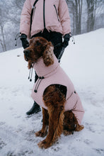 Load image into Gallery viewer, Dog Winter Coat - Peach