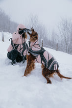 Load image into Gallery viewer, Dog Winter Coat - Leaf Peach