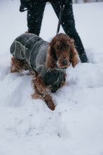 Load image into Gallery viewer, Dog Winter Coat - Turtle Olive