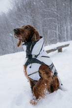 Load image into Gallery viewer, Dog Winter Coat - Leaf White