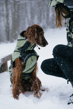 Load image into Gallery viewer, Dog Winter Coat - Leaf Olive