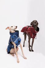 Load image into Gallery viewer, Dog Winter Coat - Turtle Red