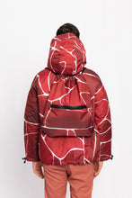 Load image into Gallery viewer, Backpack - Turtle Red