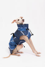 Load image into Gallery viewer, Dog Winter Coat - Turtle Blue