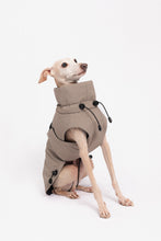 Load image into Gallery viewer, Dog Winter Coat - Sand
