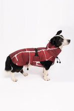 Load image into Gallery viewer, Dog Winter Coat - Turtle Red