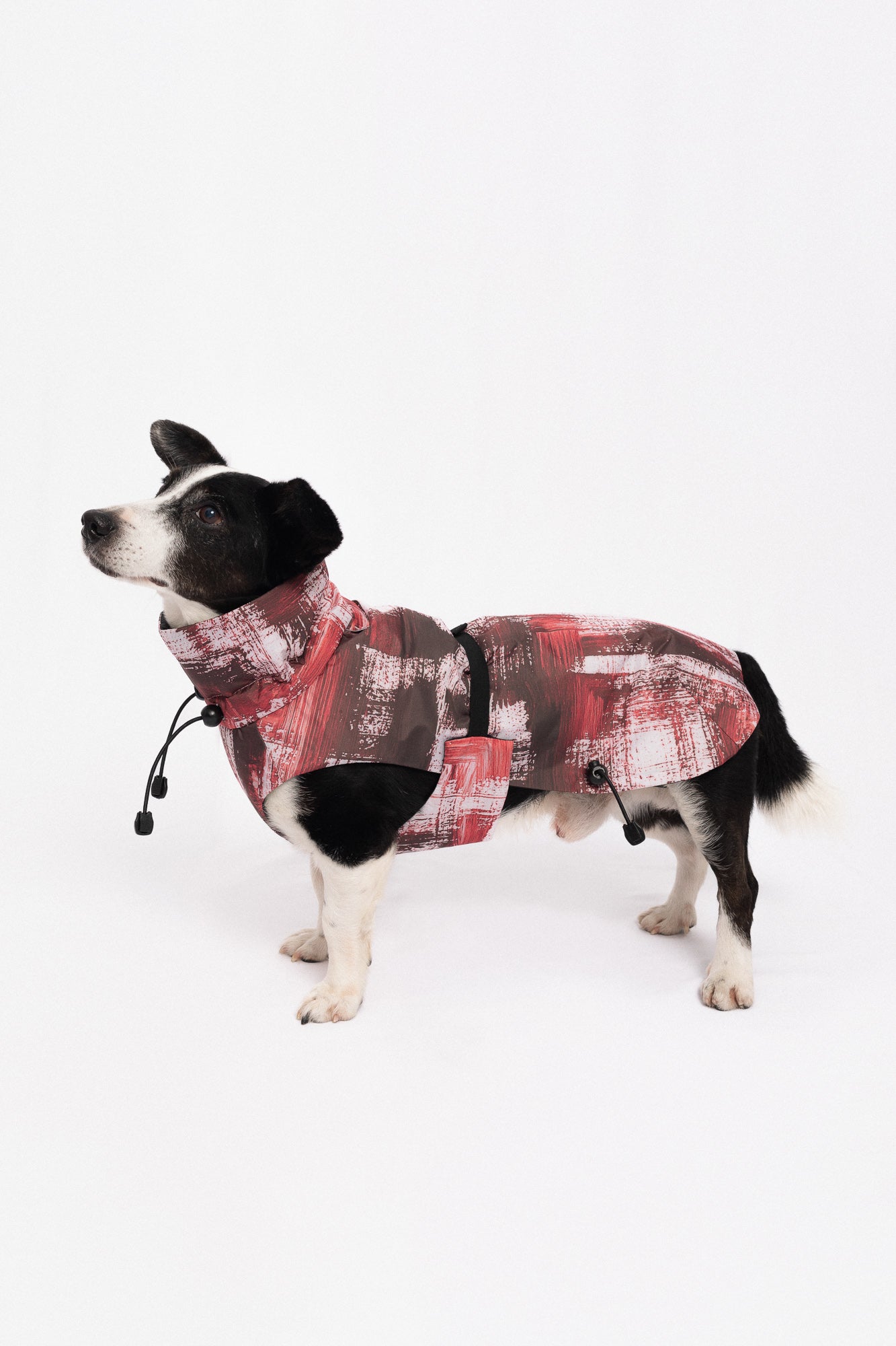 Dog Winter Coat - Stains Salmon