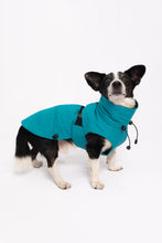 Load image into Gallery viewer, Dog Winter Coat - Turquoise