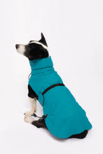 Load image into Gallery viewer, Dog Winter Coat - Turquoise