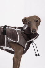 Load image into Gallery viewer, Dog Winter Coat - Turtle Grey