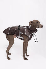Load image into Gallery viewer, Dog Winter Coat - Turtle Grey