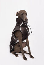 Load image into Gallery viewer, Dog Winter Coat - Turtle Grey