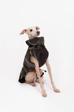 Load image into Gallery viewer, Dog Winter Coat - Turtle Olive