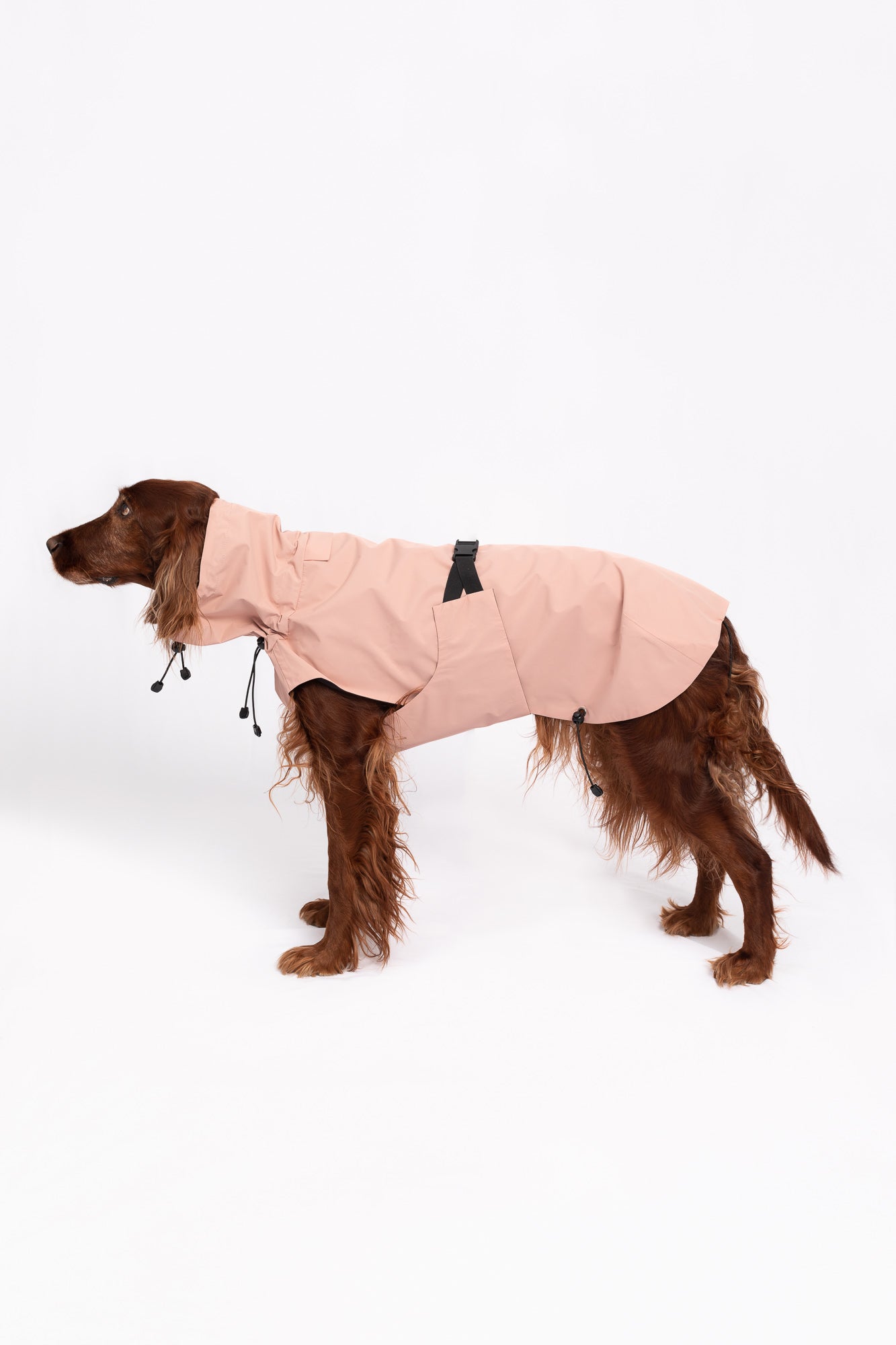 Dog Raincoat - Peach