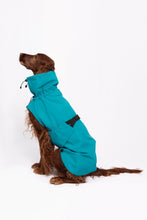 Load image into Gallery viewer, Dog Raincoat - Turquoise