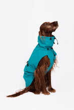 Load image into Gallery viewer, Dog Raincoat - Turquoise