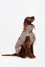 Load image into Gallery viewer, Dog Raincoat - Sand
