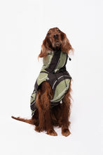 Load image into Gallery viewer, Dog Winter Coat - Leaf Olive