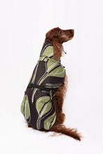 Load image into Gallery viewer, Dog Winter Coat - Leaf Olive