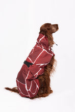 Load image into Gallery viewer, Dog Winter Coat - Turtle Red
