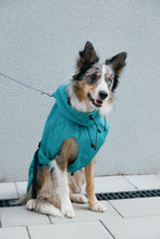 Load image into Gallery viewer, Dog Raincoat - Turquoise