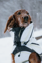 Load image into Gallery viewer, Dog Winter Coat - Leaf White