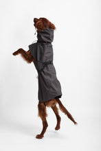 Load image into Gallery viewer, Dog Extended Raincoat - Anthracite
