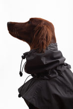 Load image into Gallery viewer, Dog Extended Raincoat - Anthracite
