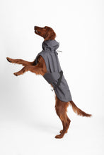 Load image into Gallery viewer, Dog Soft Shell - Grey
