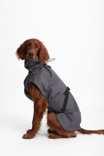 Load image into Gallery viewer, Dog Soft Shell - Grey
