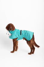 Load image into Gallery viewer, Dog Extended Raincoat - Bright Turquoise
