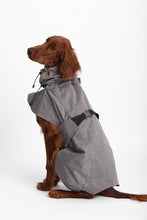 Load image into Gallery viewer, Dog Extended Raincoat - Silver Grey
