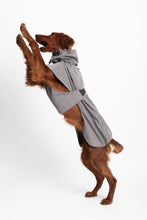 Load image into Gallery viewer, Dog Extended Raincoat - Silver Grey
