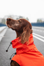 Load image into Gallery viewer, Dog Raincoat - Orange
