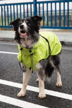 Load image into Gallery viewer, Dog Raincoat - Lime Yellow
