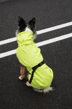 Load image into Gallery viewer, Dog Raincoat - Lime Yellow
