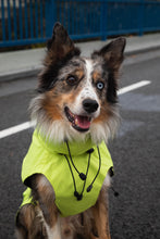 Load image into Gallery viewer, Dog Raincoat - Lime Yellow
