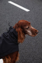 Load image into Gallery viewer, Dog Soft Shell - Black
