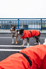 Load image into Gallery viewer, Dog Raincoat - Orange
