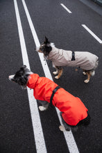 Load image into Gallery viewer, Dog Raincoat - Orange
