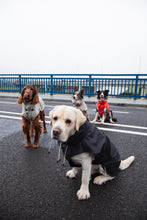 Load image into Gallery viewer, Dog Raincoat - Black
