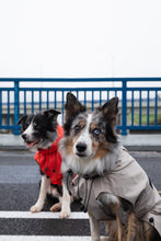 Load image into Gallery viewer, Dog Raincoat - Taupe
