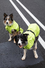 Load image into Gallery viewer, Dog Raincoat - Lime Yellow
