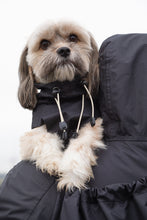 Load image into Gallery viewer, Dog Raincoat - Black

