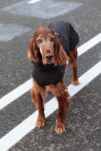 Load image into Gallery viewer, Dog Soft Shell - Black
