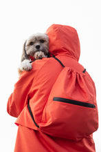 Load image into Gallery viewer, Backpack - Orange
