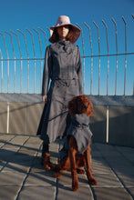 Load image into Gallery viewer, Dog Soft Shell - Grey
