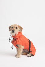 Load image into Gallery viewer, Dog Raincoat - Orange
