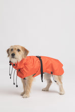 Load image into Gallery viewer, Dog Raincoat - Orange
