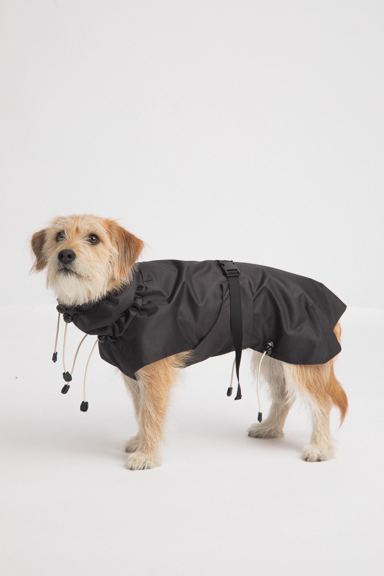 Dog Raincoat - Black